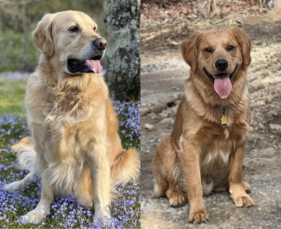 Dakota and Bo, PRO/QC